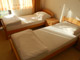 Sanus Vita